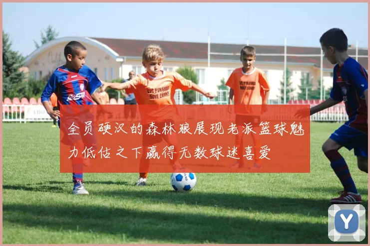 全员硬汉的森林狼展现老派篮球魅力低估之下赢得无数球迷喜爱