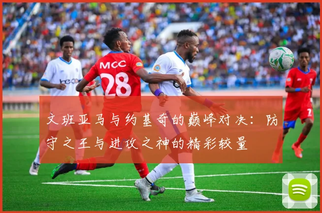 文班亚马与约基奇的巅峰对决：防守之王与进攻之神的精彩较量